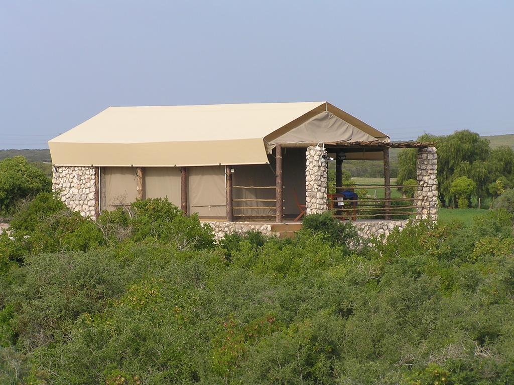 Thali Thali Game Lodge Langebaan Phòng bức ảnh